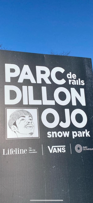 VANS Dillon Ojo rail park